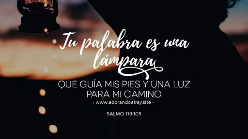 Tu palabra es una lámpara que guía mis pies y una luz para mi camino. — Salmo 119:105 NTV